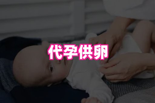 合肥助孕网站 2