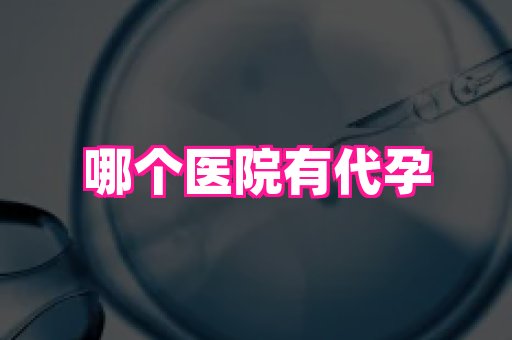 合肥助孕网站 3